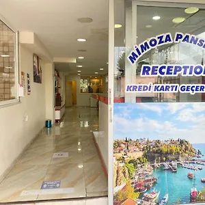 Mimoza , Antalya Türkiye